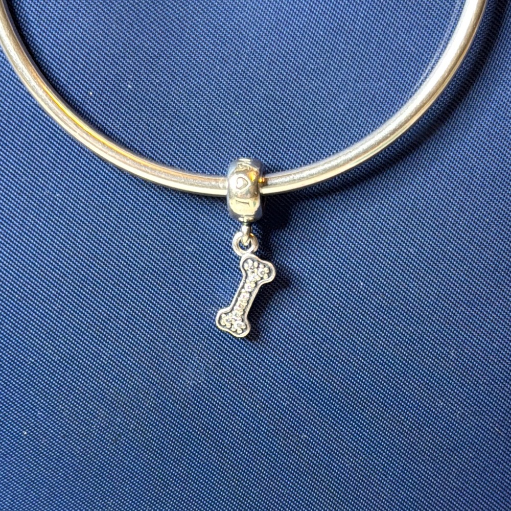 Silver Bone Pandora Charm